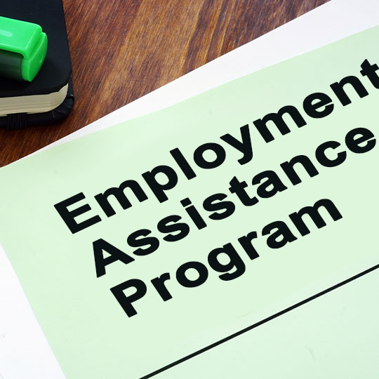 Employment Assistance